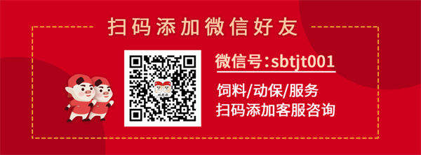 中国电子游艺网站下载安装
