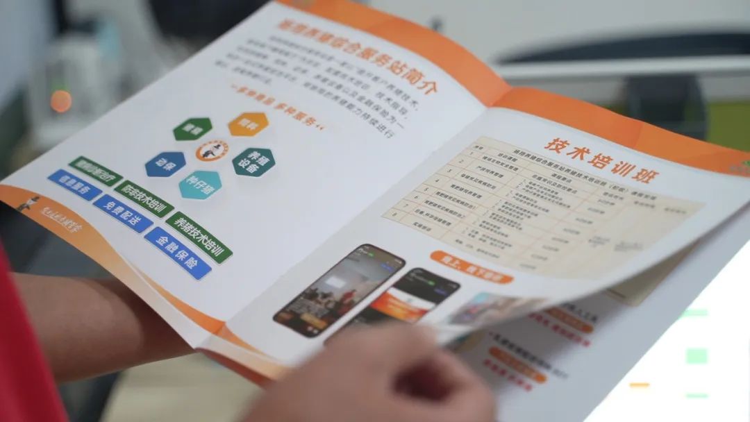 中国电子游艺网站下载安装
