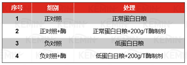 中国电子游艺网站下载安装
