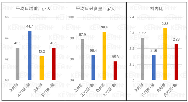 中国电子游艺网站下载安装
