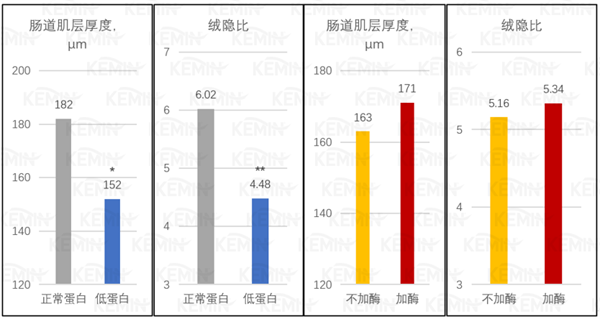 中国电子游艺网站下载安装
