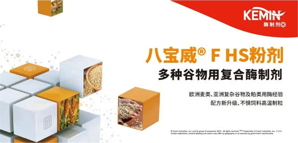 中国电子游艺网站下载安装
