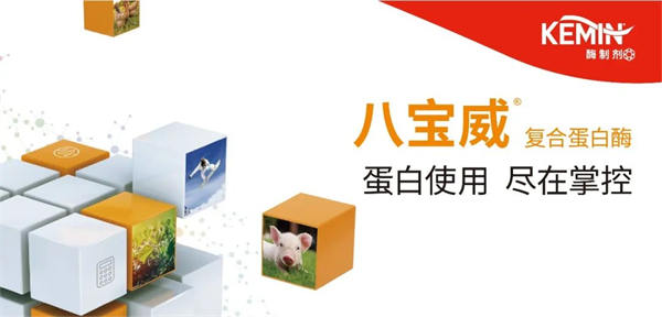 非淀粉多糖酶与蛋白酶联用效果比你想象的好