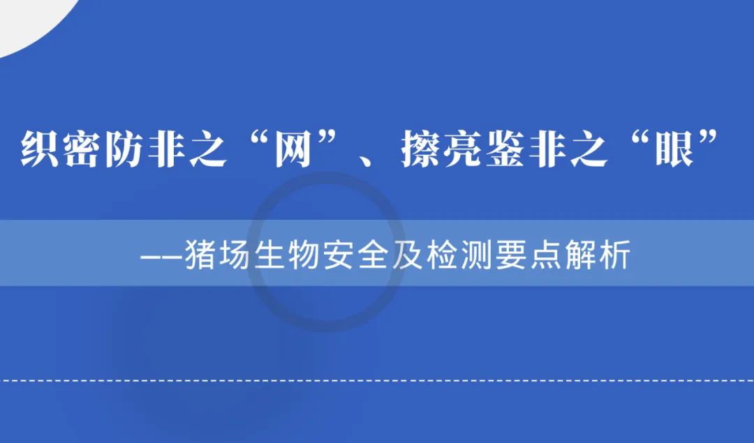 中国电子游艺网站下载安装
