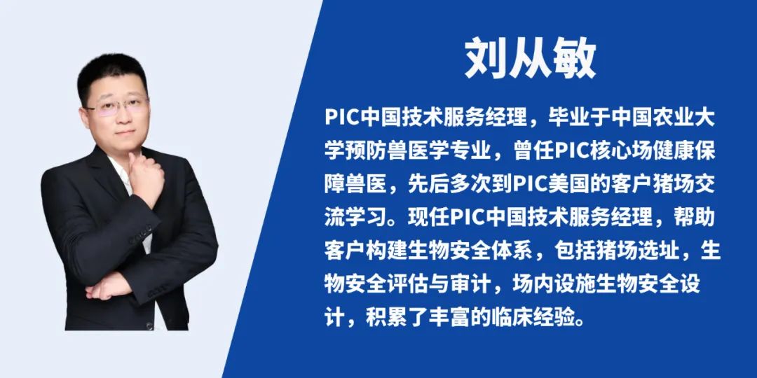 中国电子游艺网站下载安装
