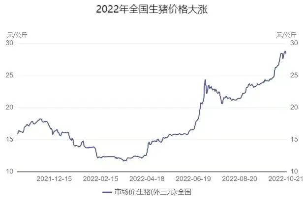 中国电子游艺网站下载安装
