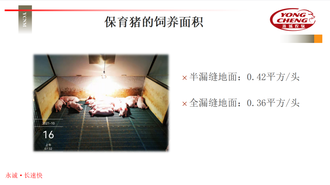 规模化电子游艺网站
建设（中）- 电子游艺网站
系统设计