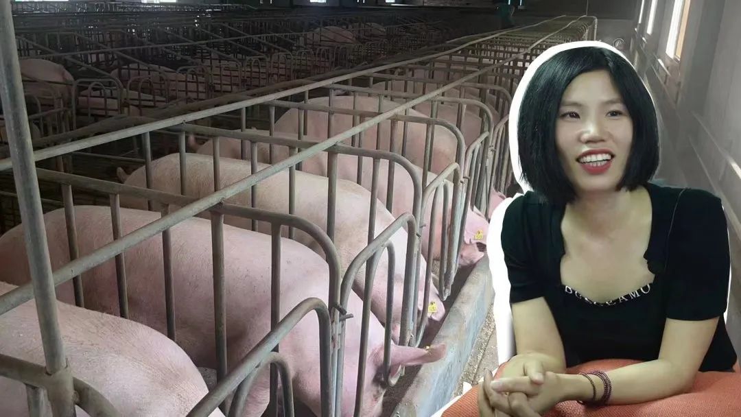 清场后重振信心，她规划未来做到年出栏10万头生猪规模