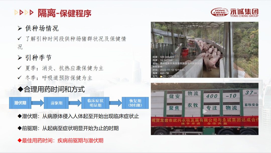 中国电子游艺网站下载安装
