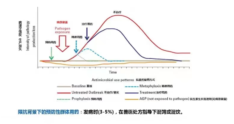 中国电子游艺网站下载安装

