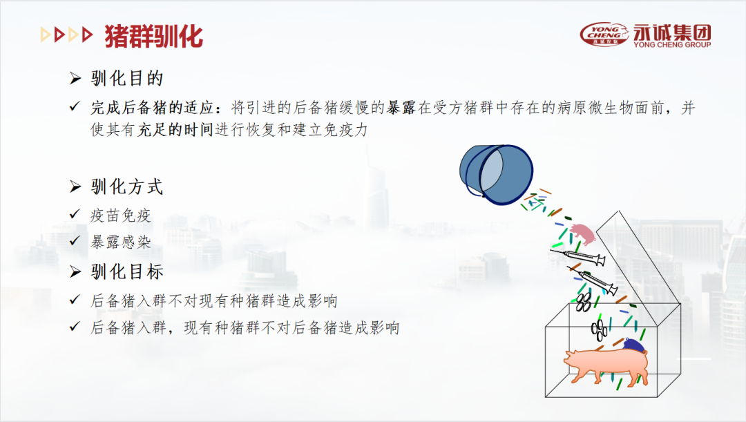 中国电子游艺网站下载安装
