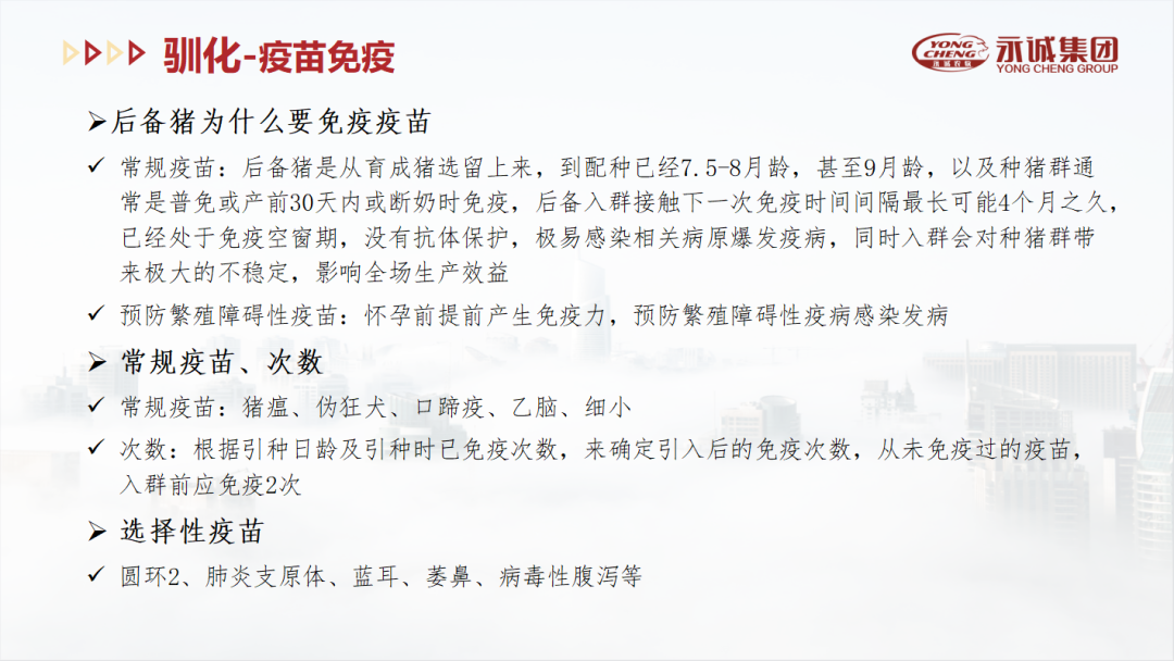 中国电子游艺网站下载安装
