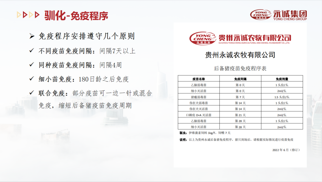 中国电子游艺网站下载安装
