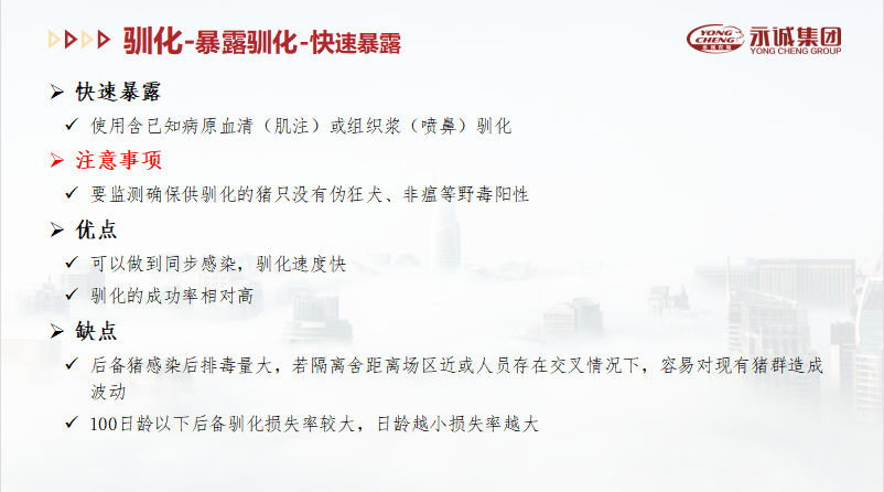 中国电子游艺网站下载安装
