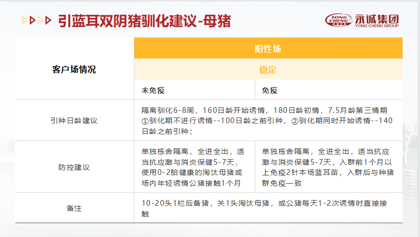 中国电子游艺网站下载安装
