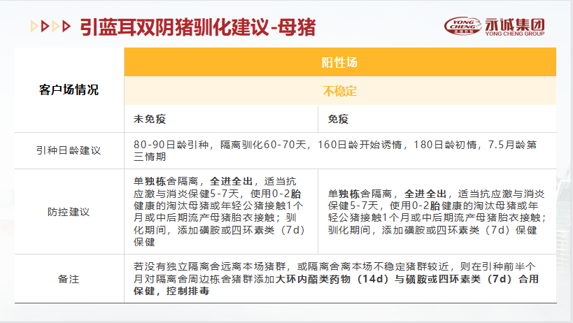 中国电子游艺网站下载安装
