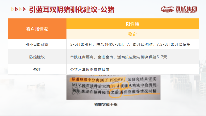 中国电子游艺网站下载安装

