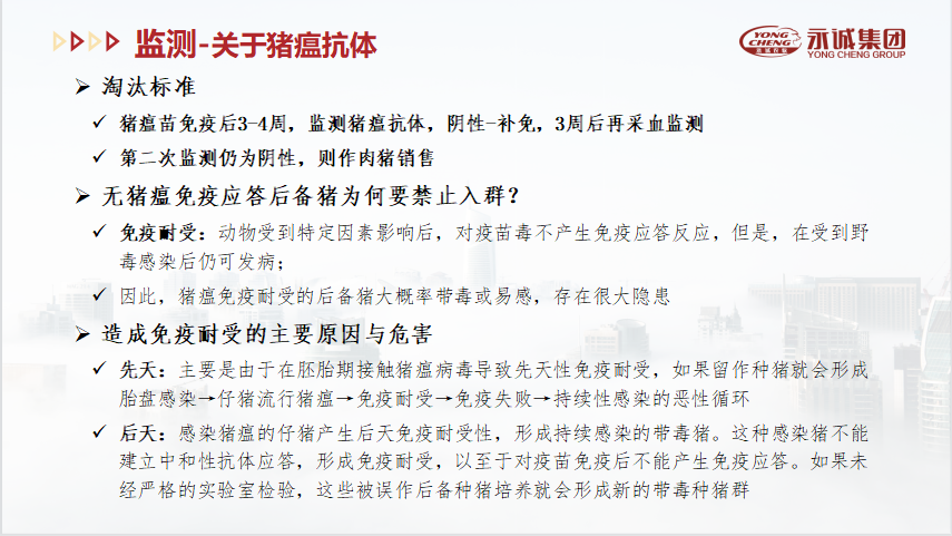 中国电子游艺网站下载安装
