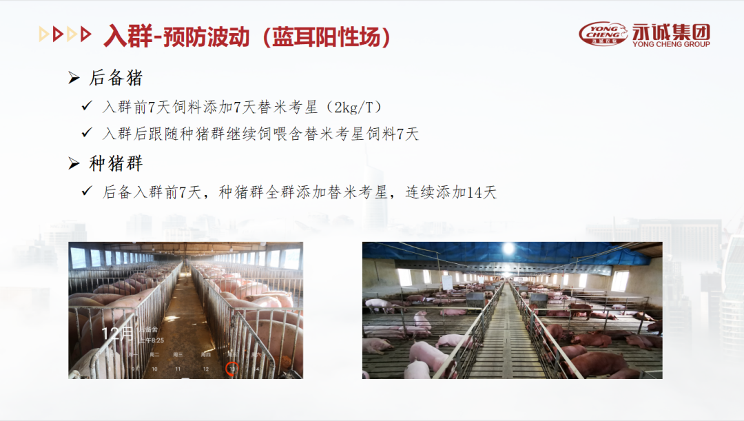 中国电子游艺网站下载安装
