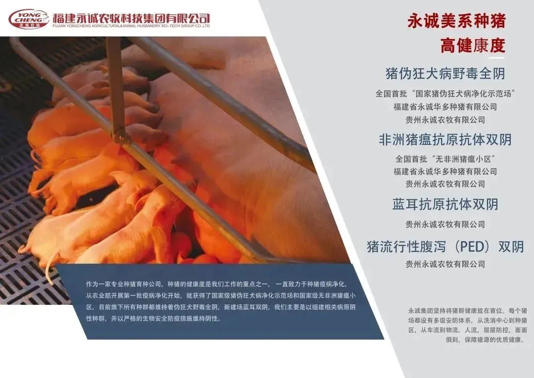 中国电子游艺网站下载安装
