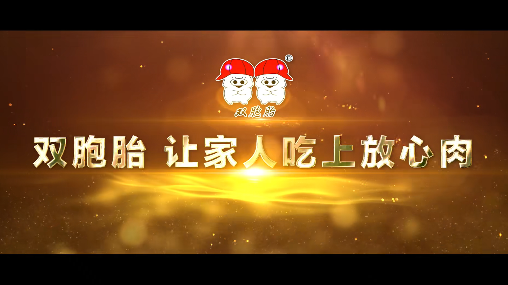 双胞胎集团——企业宣传片