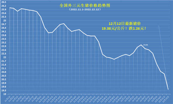 中国电子游艺网站下载安装
