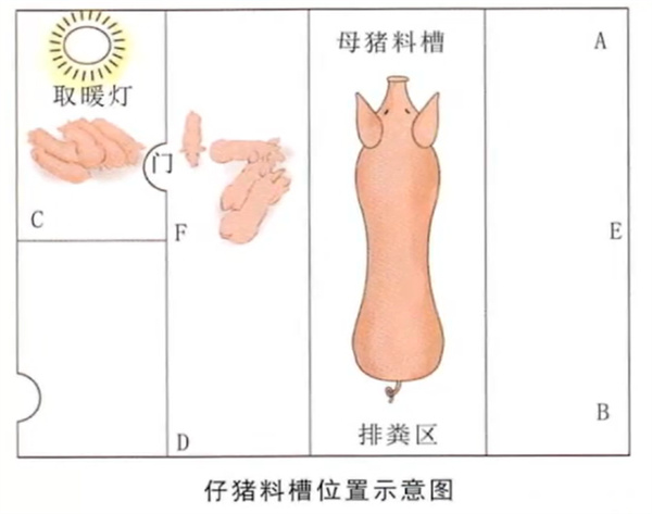 中国电子游艺网站下载安装
