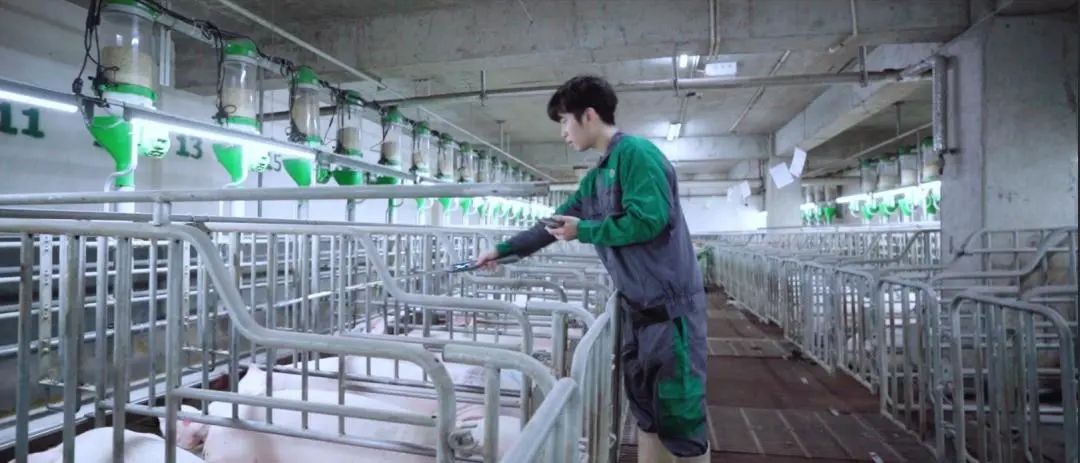 大学生一待就是十年，现代电子游艺网站
的“诱惑”有多大？