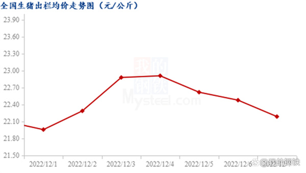 中国电子游艺网站下载安装
