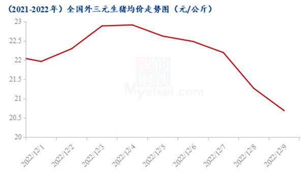 中国电子游艺网站下载安装
