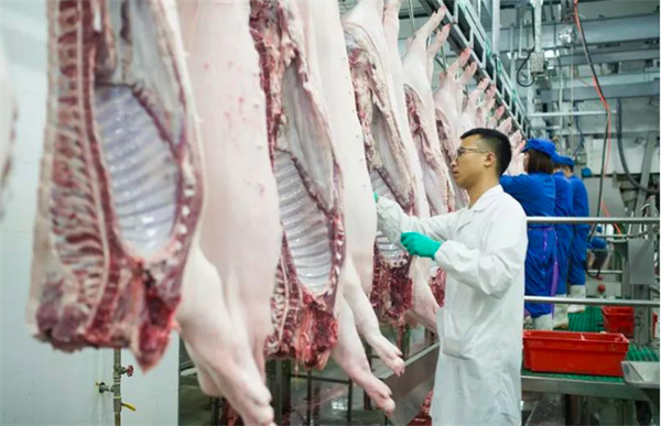 中国电子游艺网站下载安装
