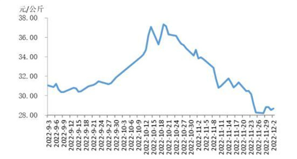 中国电子游艺网站下载安装
