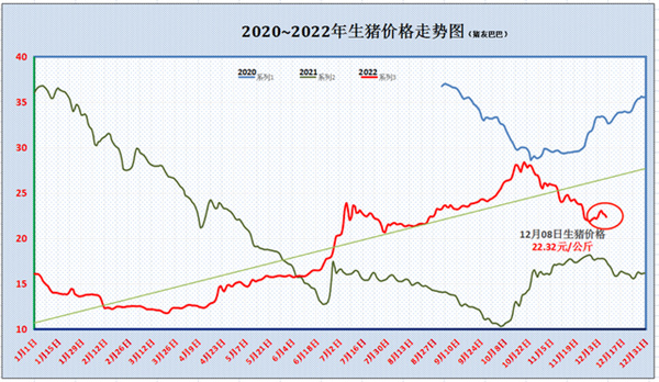 中国电子游艺网站下载安装
