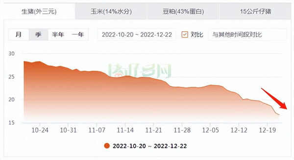 中国电子游艺网站下载安装
