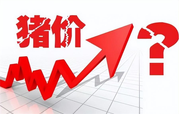 猪价2个月下跌41.11%！集团场加码养猪！2023年猪市会好吗？