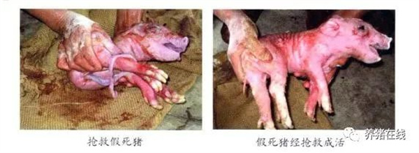 中国电子游艺网站下载安装
