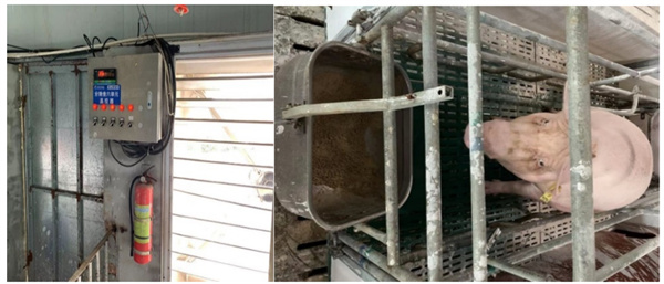 中国电子游艺网站下载安装
