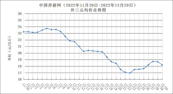 中国电子游艺网站下载安装