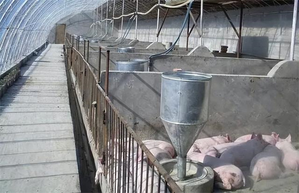 中国电子游艺网站下载安装
