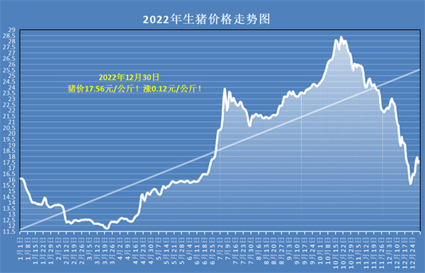 中国电子游艺网站下载安装

