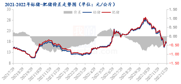 中国电子游艺网站下载安装
