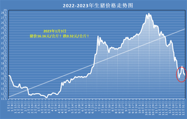 中国电子游艺网站下载安装
