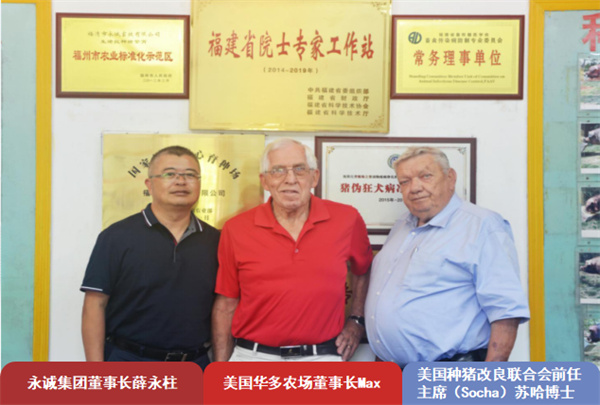 中国电子游艺网站下载安装
