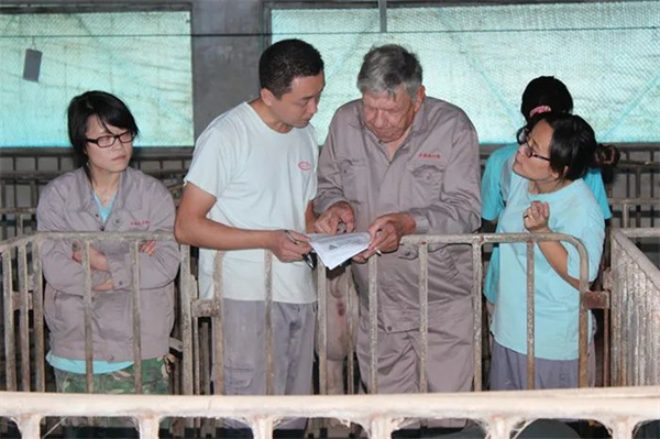 中国电子游艺网站下载安装
