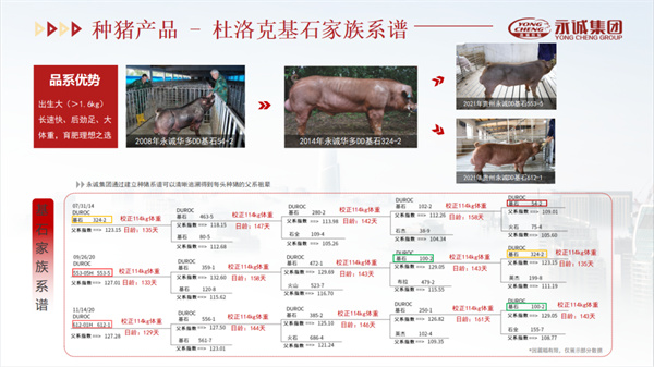 中国电子游艺网站下载安装
