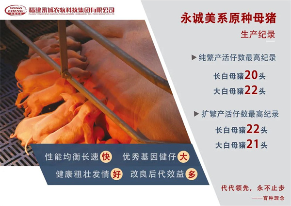 中国电子游艺网站下载安装
