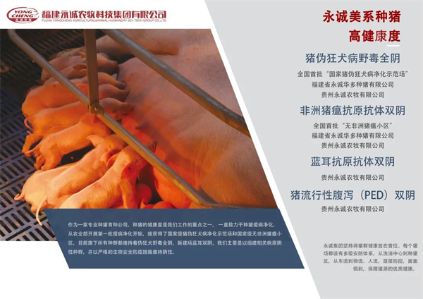 中国电子游艺网站下载安装
