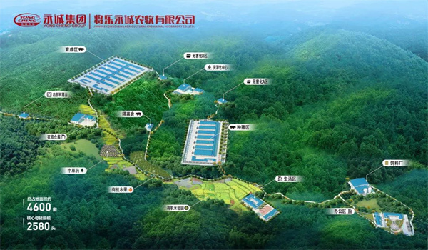 中国电子游艺网站下载安装

