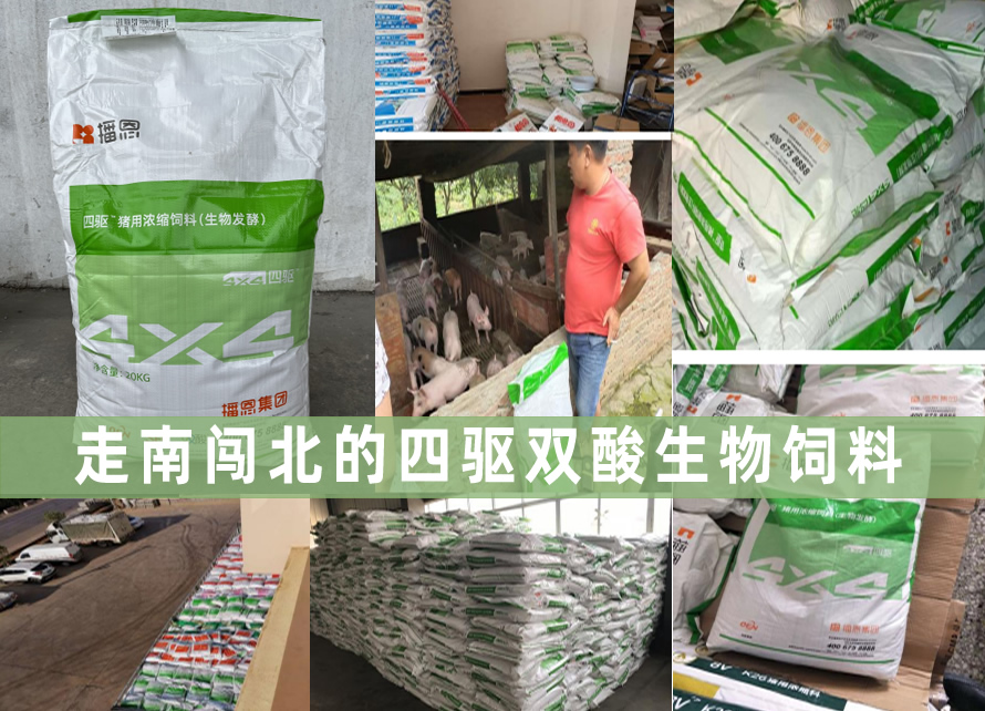 中国电子游艺网站下载安装
