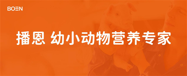中国电子游艺网站下载安装

